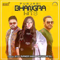 Punjabi Bhangra Hits