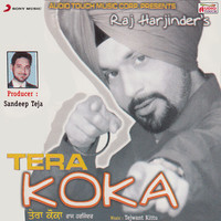 haye ni tera koka song download djpunjab mp3