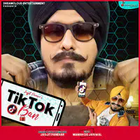 Tik Tok Ban