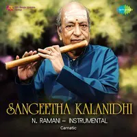 Sangeetha Kalanidhi - N. Ramani - Instrumental