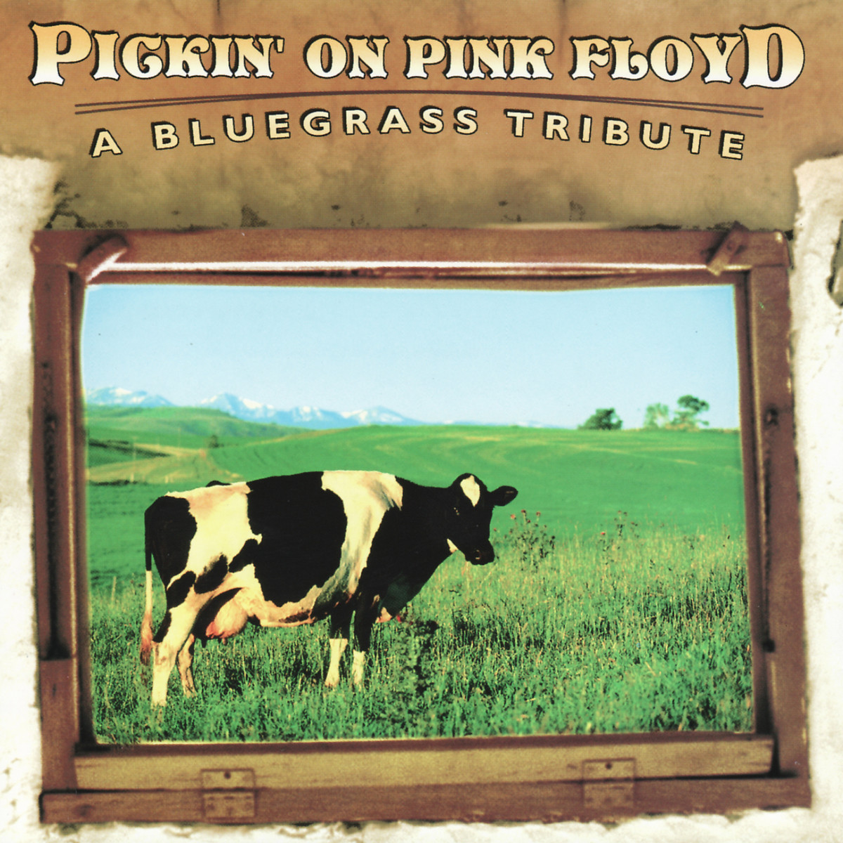 Comfortably Numb Mp3 Song Download Pickin On Pink Floyd A