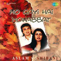 Ho Gayi Hai Mohabbat Aslam And Shibani