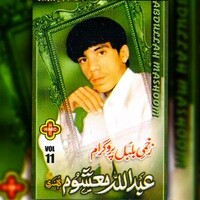 Zakhmi Bulbul Program, Vol. 11