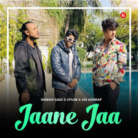 Jaane Jaa