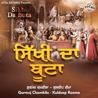 Sikhi Da Buta