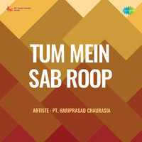 Tum Mein Sab Roop