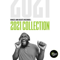 VOICES AND BEATS RECORDS (2021 Collection)