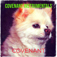 Covenant Instrumentals