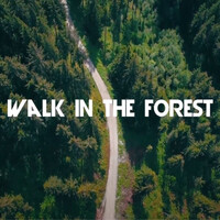 Walk in the Forest