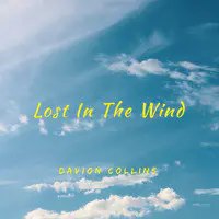 Lost in the Wind