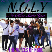 N.O.L.Y. (No Other Like You)