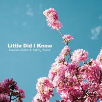 Little Did I Know (Acoustic)