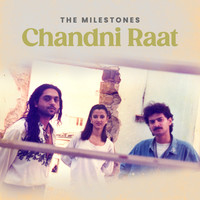 Chandni Raat Song Download: Play & Listen Chandni Raat all MP3 Song by