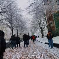 Snowfall (A Winter Lullaby)