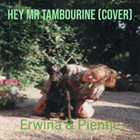 Hey Mr Tambourine (Cover)