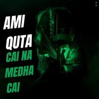 Ami Quta Cai Na Medha Cai