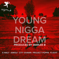 Young Nigga Dream (Remix) [feat. Iamsu!, City Shawn, Project Poppa & Flight]