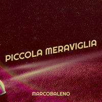 PICCOLA MERAVIGLIA