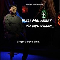 Meri Mohabbat Tu Kya Jaane