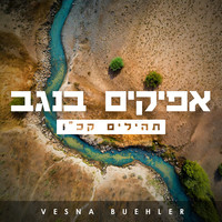 אפיקים בנגב (תהילים קכ״ו )