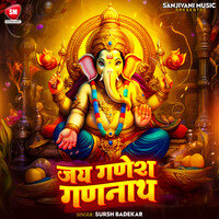 Jay Ganesh Gananaath