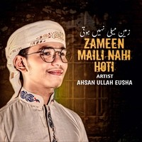 Zameen Maili Nahi Hoti