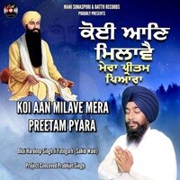 Koi Aan Milave Mera Preetam Pyara