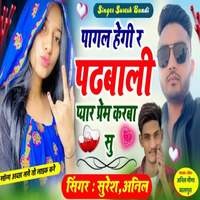 Pagal Hegi R Padhbali Pyar Prem Karba Su