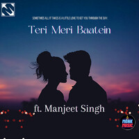 Teri Meri Baatein