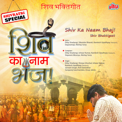 Aarti Nagdwari (Aarti) MP3 Song Download by Anil Damedhar (Shiv Ka Naam  Bhaj)| Listen Aarti Nagdwari (Aarti) Song Free Online
