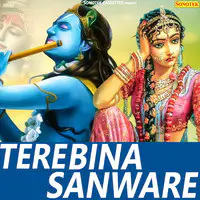 Tere Bina Sanware