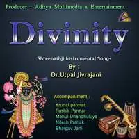 Divinity-Shreenathji Instrumental Songs