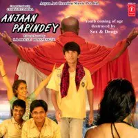 Anjaan Parindey