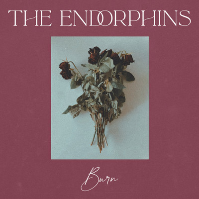 burn endorphins mp3 download