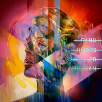 P!nk Hurts 2B Human レコード 未開封 P!NK – Hurts 2B Human – Cassette (Album, Limited Edition