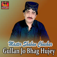 Gullan Jo Bhag Hujey