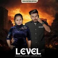 Level