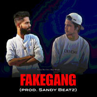 FAKEGANG