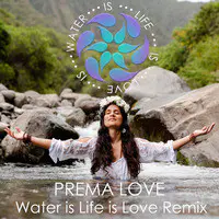 Water Is Life Is Love (Remix)