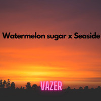 Watermelon Sugar X Seaside