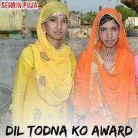 Dil Todna Ko Award