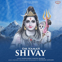 Om Namah Shivay