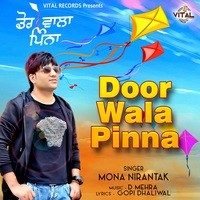 Door Wala Pinna