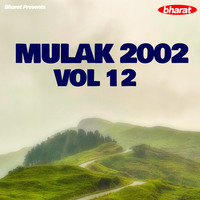 Mulak 2002 Vol 12