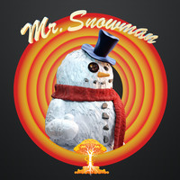 Mr Snowman