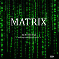 Matrix