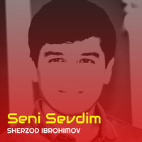 Seni Sevdim