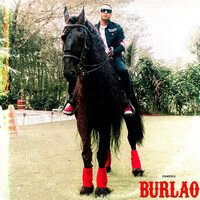 Burlao