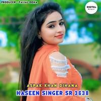 Haseen Singer SR 3638