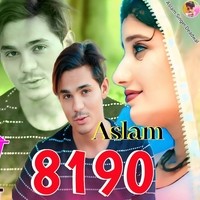 Aslam Singer SR 8190